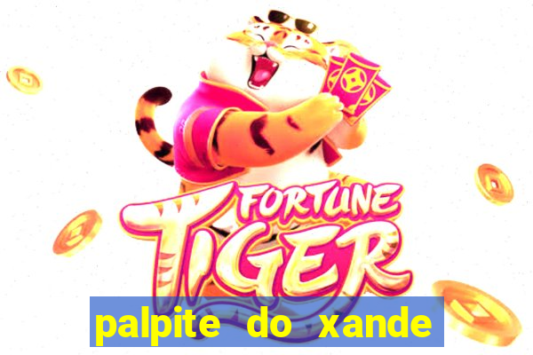 palpite do xande para hoje